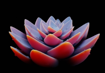 Gadgets that Create Your Art